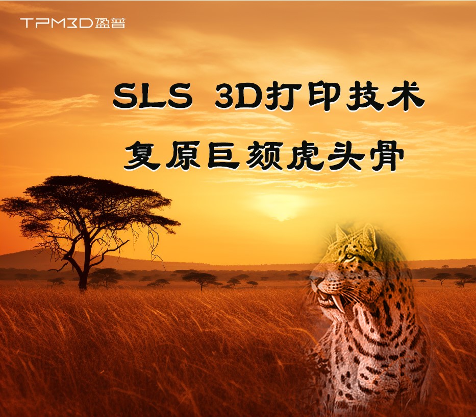 古化石新科技的碰撞丨看SLS 3D打印如何復原巨頦虎頭骨